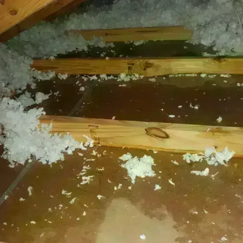 Attic Water Damage in Santa Rosa County, FL